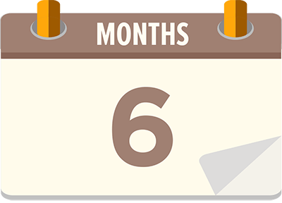 6 Months Plan